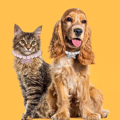 2pcs dog cat pearl jolar necklace with inhinestone bone ، jewely jews jews for girl cat pet pet dogs accessories bling (s ، pink ، white) in Kuwait