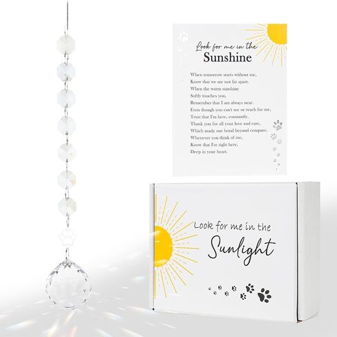 التعاطف التذكاري Crystal Sun Catcher ، Memorial Symporty Suncatcher Gifts لفقدان أحد أفراد أسرته ، فقدان أمي الأب Window Suncatcher Dog Vip Loss Veaching Gift (Red Cardinal) in Kuwait