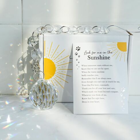 التعاطف التذكاري Crystal Sun Catcher ، Memorial Symporty Suncatcher Gifts لفقدان أحد أفراد أسرته ، فقدان أمي الأب Window Suncatcher Dog Vip Loss Veaching Gift (Red Cardinal) in Kuwait