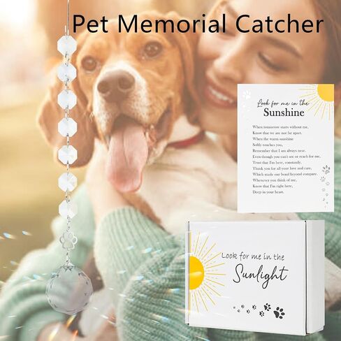 التعاطف التذكاري Crystal Sun Catcher ، Memorial Symporty Suncatcher Gifts لفقدان أحد أفراد أسرته ، فقدان أمي الأب Window Suncatcher Dog Vip Loss Veaching Gift (Red Cardinal) in Kuwait