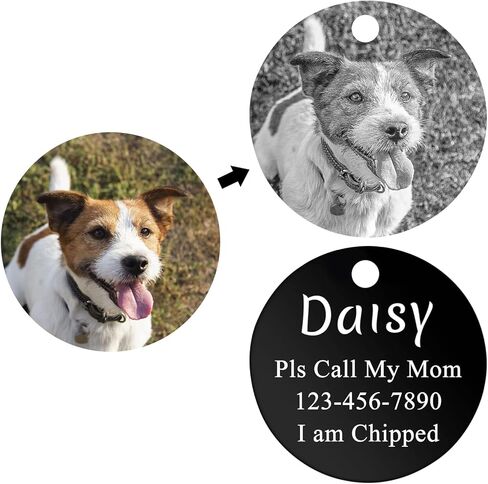 علامات الكلب المخصصة في Valyria ، نص صورة مخصصة محفورة بالفولاذ المقاوم للصدأ معرف الكلب العلامات للحيوانات الأليفة ، طوق القطط والكلب ، نقش بالليزر العميق ، محفور اختياري على كلا الجانبين in Kuwait