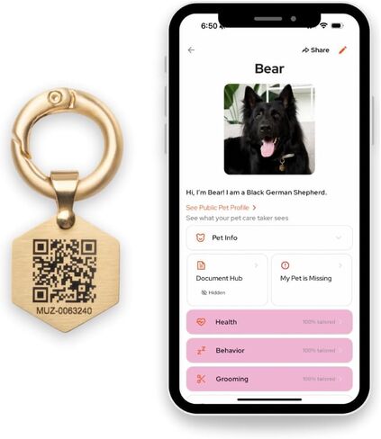 علامة معرف الحيوانات الأليفة الكلاسيكية QR ، فولاذ صغير مطلي بالذهب ، من الدرجة العسكرية ، للحيوانات الأليفة التي تزيد عن 25 رطلاً (كبير) ، تشمل تطبيق إدارة الحيوانات الأليفة المجاني in Kuwait