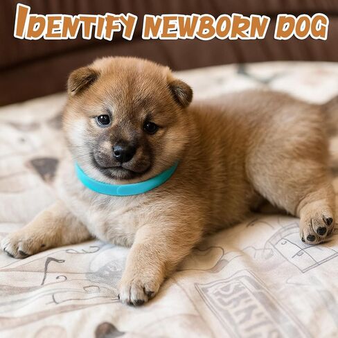 30 PCS Puppy Whelping Proflars for القمامة ، ألوان متنوعة جرو معرف الياقات القابلة للتعديل الكلب الكلب الكلب الكلاب حديثي الولادة الفرقة للحيوانات الأليفة (S/M) in Kuwait
