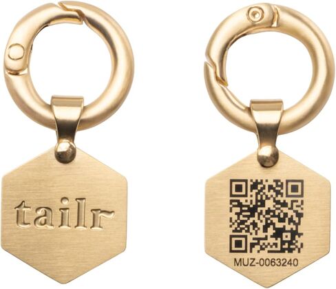 علامة معرف الحيوانات الأليفة الكلاسيكية QR ، فولاذ صغير مطلي بالذهب ، من الدرجة العسكرية ، للحيوانات الأليفة التي تزيد عن 25 رطلاً (كبير) ، تشمل تطبيق إدارة الحيوانات الأليفة المجاني in Kuwait