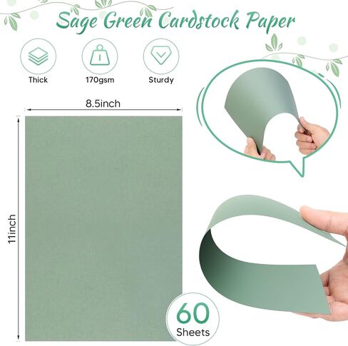 60 ورقة Sage Green Cardstock 8.5x11 in Kuwait