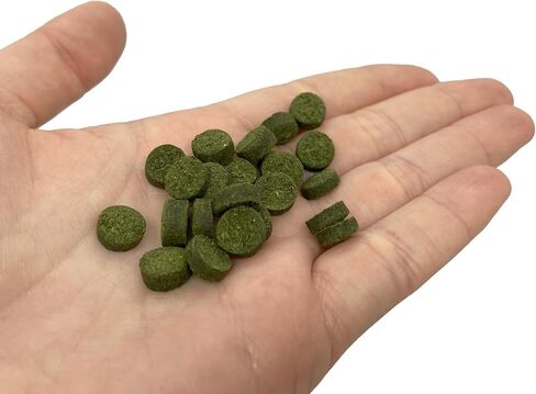 Plecoceramics Pleco Wafers Universal Fish Food for Most Aquarium Fish - Turtle, Goldfish, Catfish, Algae Wafers for Bottom Feeders - Protein Tablets - Pond Fish Food (3.52 oz) in Kuwait