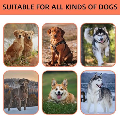 Tangle Free Dog Leash for 2 Dogs, 360 ° Rotating Anti Entanglement Dog Leash, Suitable for Carrying Multiple Beloved Dogs for Travel, blue-2in1 in Saudi Arabia
