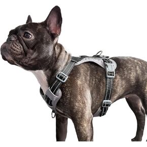 تسخير الكلب غير الشديد ، سترة عاكسة تمامًا مع مقاطع مقودان ، بدون مخطط ، قابل للتعديل ، قابل للتنفس ودائم للكلاب الصغيرة والمتوسطة والكبيرة المشي ، التدريب ، الجري (البط البري ، م) in Kuwait