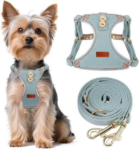 Faleela No-Pull Puppy Harness & Leash Set - 7 Color Options, Soft, Adjustable, Choke-Free, Escape-Proof, Lightweight Cute Pet Vest for Small & Medium Dogs (Pink, XXS) in Kuwait