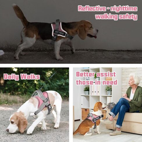 AUROTH Dog Harness No Pull Soft Padded Service Dog Vest, No Choke, Easy On Pet Vest with Handle, Adjustable Reflective Dog Harness for Small, Medium and Large Dogs, Easy Walking and Training in Kuwait