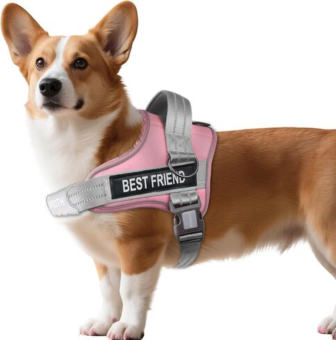 AUROTH Dog Harness No Pull Soft Padded Service Dog Vest, No Choke, Easy On Pet Vest with Handle, Adjustable Reflective Dog Harness for Small, Medium and Large Dogs, Easy Walking and Training in Kuwait