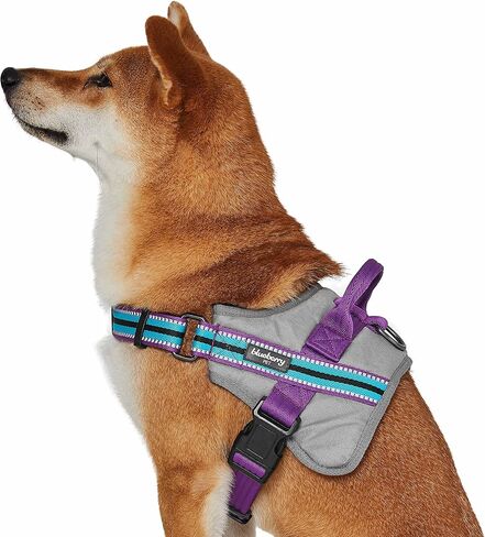 Blueberry Pet Pink Dog Harness - Award Winning Medium Sized No Pull Dog Harness with Handle, Reflective Vest for Safety-Conscious Urban & Outdoor Enthusiasts, 3M Night Visibility in Saudi Arabia