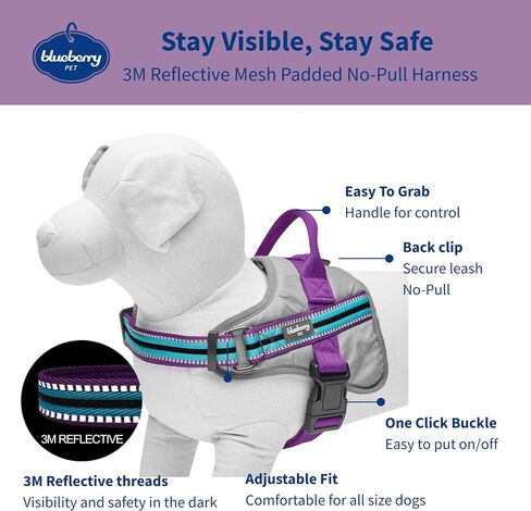 Blueberry Pet Pink Dog Harness - Award Winning Medium Sized No Pull Dog Harness with Handle, Reflective Vest for Safety-Conscious Urban & Outdoor Enthusiasts, 3M Night Visibility in Saudi Arabia