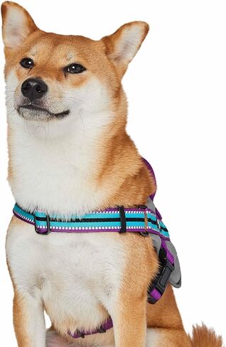 Blueberry Pet Pink Dog Harness - Award Winning Medium Sized No Pull Dog Harness with Handle, Reflective Vest for Safety-Conscious Urban & Outdoor Enthusiasts, 3M Night Visibility in Saudi Arabia
