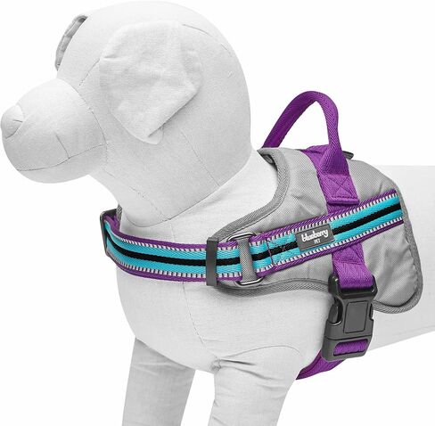 Blueberry Pet Pink Dog Harness - Award Winning Medium Sized No Pull Dog Harness with Handle, Reflective Vest for Safety-Conscious Urban & Outdoor Enthusiasts, 3M Night Visibility in Saudi Arabia