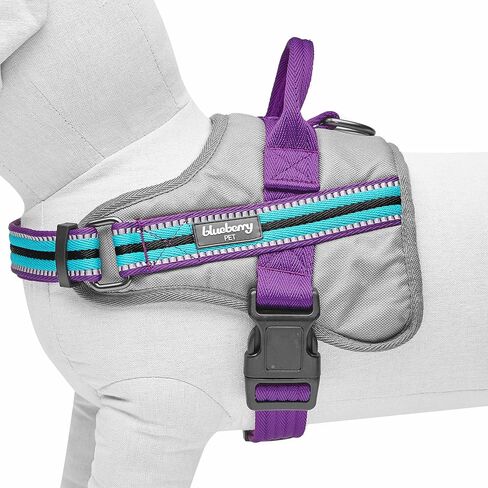 Blueberry Pet Pink Dog Harness - Award Winning Medium Sized No Pull Dog Harness with Handle, Reflective Vest for Safety-Conscious Urban & Outdoor Enthusiasts, 3M Night Visibility in Saudi Arabia
