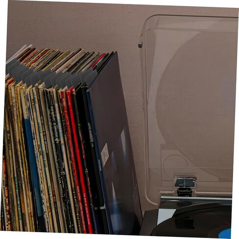Operitacx 20Pcs Vinyl Record Dividers with Writable Index Tabs for Efficient Organization of Albums Books and Media Tear-Resistant Vinyl Record Separator in Saudi Arabia
