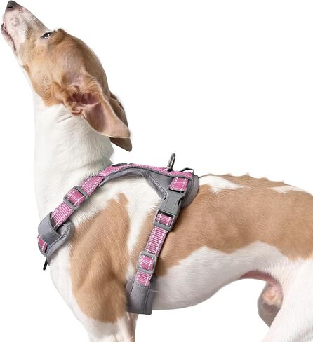 No-Pull Dog Harness, Fully Reflective Vest with 2 Leash Clips, No-Choke, Adjustable, Breathable & Durable for Small, Medium & Large Dogs Walking, Training, Running (Teal Blue, M) in Kuwait