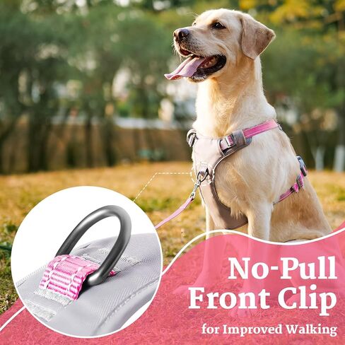 No-Pull Dog Harness, Fully Reflective Vest with 2 Leash Clips, No-Choke, Adjustable, Breathable & Durable for Small, Medium & Large Dogs Walking, Training, Running (Teal Blue, M) in Kuwait