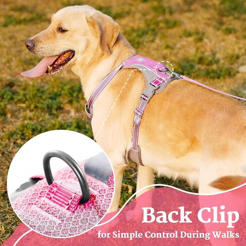 No-Pull Dog Harness, Fully Reflective Vest with 2 Leash Clips, No-Choke, Adjustable, Breathable & Durable for Small, Medium & Large Dogs Walking, Training, Running (Teal Blue, M) in Kuwait