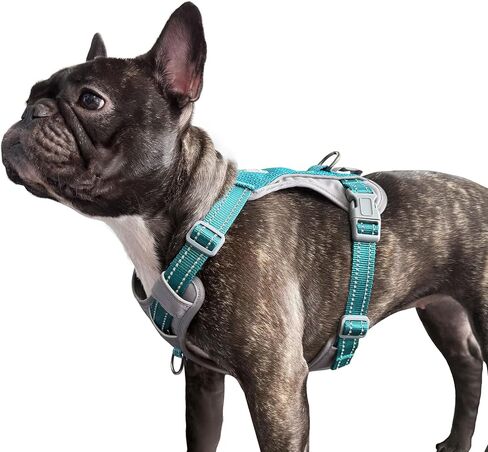 No-Pull Dog Harness, Fully Reflective Vest with 2 Leash Clips, No-Choke, Adjustable, Breathable & Durable for Small, Medium & Large Dogs Walking, Training, Running (Teal Blue, M) in Kuwait