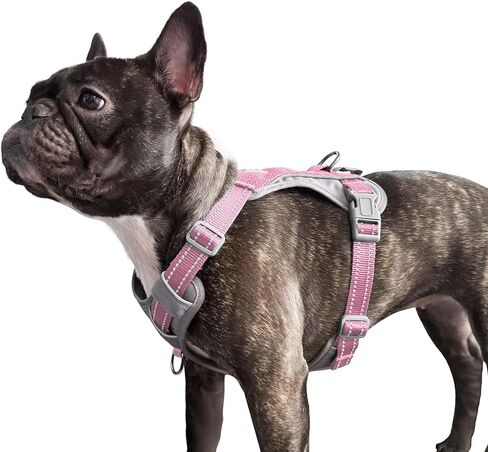 No-Pull Dog Harness, Fully Reflective Vest with 2 Leash Clips, No-Choke, Adjustable, Breathable & Durable for Small, Medium & Large Dogs Walking, Training, Running (Teal Blue, M) in Kuwait