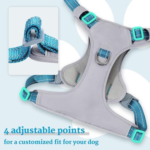 No-Pull Dog Harness, Fully Reflective Vest with 2 Leash Clips, No-Choke, Adjustable, Breathable & Durable for Small, Medium & Large Dogs Walking, Training, Running (Teal Blue, M) in Kuwait