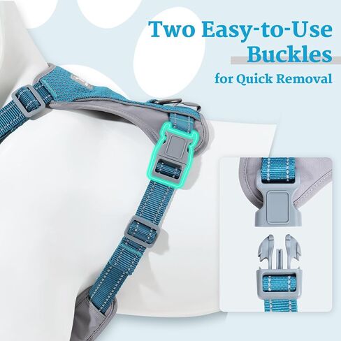 No-Pull Dog Harness, Fully Reflective Vest with 2 Leash Clips, No-Choke, Adjustable, Breathable & Durable for Small, Medium & Large Dogs Walking, Training, Running (Teal Blue, M) in Kuwait