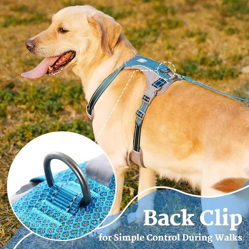 No-Pull Dog Harness, Fully Reflective Vest with 2 Leash Clips, No-Choke, Adjustable, Breathable & Durable for Small, Medium & Large Dogs Walking, Training, Running (Teal Blue, M) in Kuwait