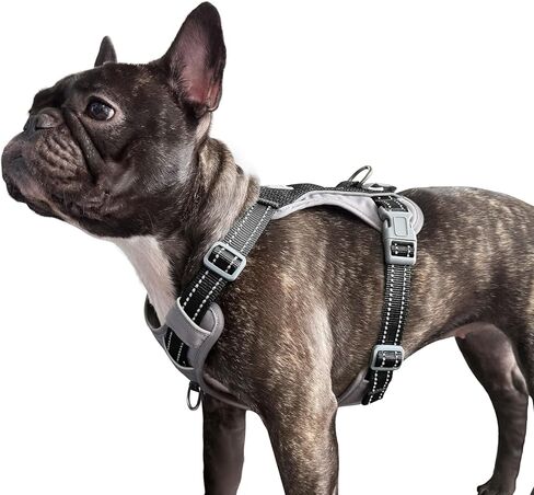 تسخير الكلب غير الشديد ، سترة عاكسة تمامًا مع مقاطع مقودان ، بدون مخطط ، قابل للتعديل ، قابل للتنفس ودائم للكلاب الصغيرة والمتوسطة والكبيرة المشي ، التدريب ، الجري (البط البري ، م) in Kuwait