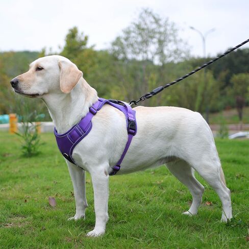 Pink Dog Vest Harness with Airtag Holder, No-Pull Tactical Service Dogs Vest with Handle, Escape Proof Freedom Outdoor Easy Walk Jacket with Back Front Clip for Small Medium Large Breeds,S in Saudi Arabia