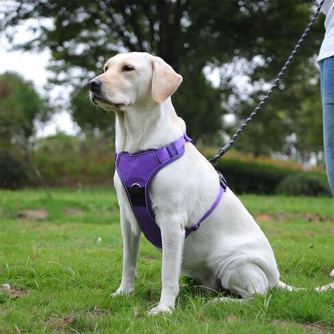 Pink Dog Vest Harness with Airtag Holder, No-Pull Tactical Service Dogs Vest with Handle, Escape Proof Freedom Outdoor Easy Walk Jacket with Back Front Clip for Small Medium Large Breeds,S in Saudi Arabia