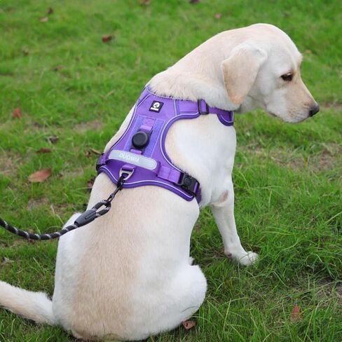 Pink Dog Vest Harness with Airtag Holder, No-Pull Tactical Service Dogs Vest with Handle, Escape Proof Freedom Outdoor Easy Walk Jacket with Back Front Clip for Small Medium Large Breeds,S in Saudi Arabia