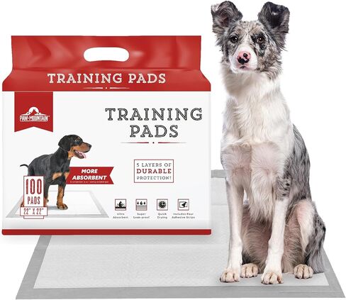 وسادات Pet & Puppy Pet & Puppy Uptra ، 30 ، 50 ، 100 عدد 22 "× 22" منصات التبول للكلاب ، وسادات تدريب الكلاب على تسرب التخلص منها ، وتجفيف سريع جرو أساسيات جرو - باو جبل in Kuwait