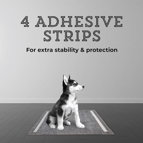 وسادات Pet & Puppy Pet & Puppy Uptra ، 30 ، 50 ، 100 عدد 22 "× 22" منصات التبول للكلاب ، وسادات تدريب الكلاب على تسرب التخلص منها ، وتجفيف سريع جرو أساسيات جرو - باو جبل in Kuwait