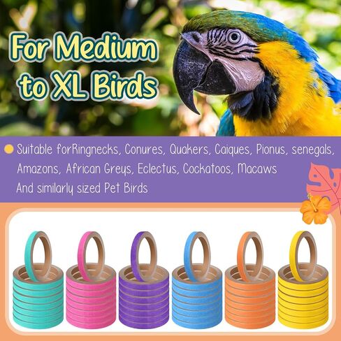 36 PCS Bagels Bird Toys Birk Bork for Parrots Date Cortboard Core Bird Toy Pumping Shreding Play Play Foot 2.5 "" in Saudi Arabia