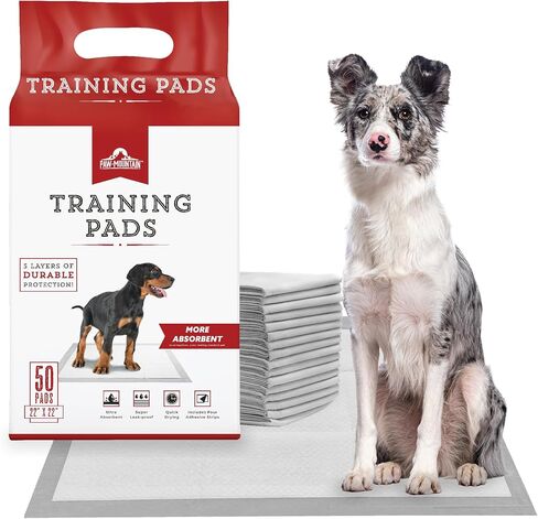 وسادات Pet & Puppy Pet & Puppy Uptra ، 30 ، 50 ، 100 عدد 22 "× 22" منصات التبول للكلاب ، وسادات تدريب الكلاب على تسرب التخلص منها ، وتجفيف سريع جرو أساسيات جرو - باو جبل in Kuwait