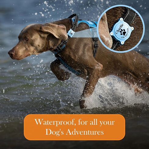 حامل طوق الكلاب المخصصة للهواء الهوائية - متينة للغاية ، متوافق مع تركض Apple Airtag - Pet Airtag للتتبع ، مقاوم للماء للكلاب والقطط in Saudi Arabia