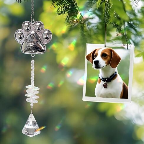 Pet Memorial Suncatcher - Loss of Pet Sympathy Gift for Dog and Cat Owners with Crystals, Indoor Window Suncatchers, Bereavement Gifts Dog Memorial (Transparent) in Saudi Arabia