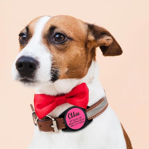 حامل شخصي يناسب Airtag Custom Custom Dog Dog Case for Slide Slide على حامل العلامات المخصص لـ Airtag Dog Cog Locator Tracker ل CAG Dog Cat (ARC ، Blue) in Kuwait