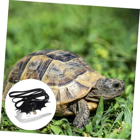 Galpada Turtle Leash Harness reptile Harness Leash للسلحفاة القابلة للتعديل حبل المشي تصميم الجناح لتصميم جذاب لإكسسوارات دبابات الزواحف s in Kuwait