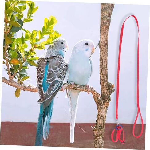 MERRYHAPY 1PC Turtle Lizard Leash Pet Petling Rope Bird Association Rope Walking Leash للأنشطة الخارجية in Kuwait