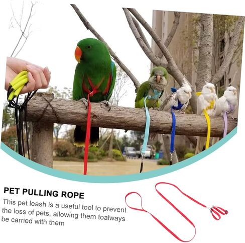 MERRYHAPY 1PC Turtle Lizard Leash Pet Petling Rope Bird Association Rope Walking Leash للأنشطة الخارجية in Kuwait