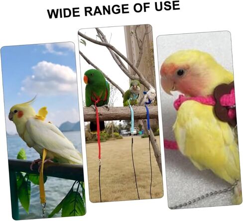 MERRYHAPY 1PC Turtle Lizard Leash Pet Petling Rope Bird Association Rope Walking Leash للأنشطة الخارجية in Kuwait
