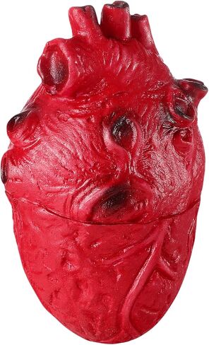 NUOBESTY Fake Heart Prank Prop, 1pc Halloween Scary Heart Model Realistic Halloween Body Parts Simulation Haunted House Props for Party, Home Decorations in Saudi Arabia
