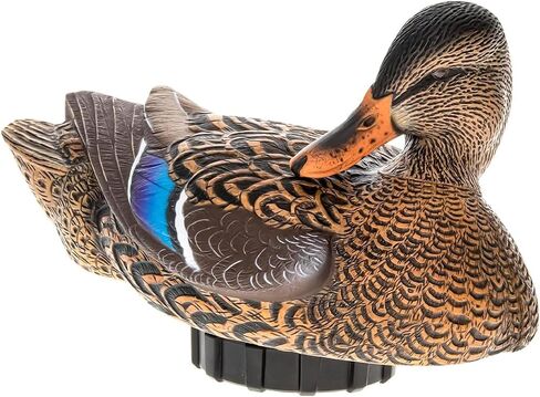Avian-X Power Shaker Mallard Drake Preener Floating Duck Decoy - Durable Foam-Filled Realistic Lifelike Waterfowl Hunting Motion Decoy in Kuwait