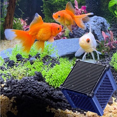 مكعب مكعب مكعب نقي حوض مياه 2.0 مكعب تنقية مياه مائي Eco مع فحم قرص العسل لخزانات الأسماك ، أحواض الخيول ، الثروة الحيوانية والمخزون (الأزرق ، 1pcs) in Saudi Arabia