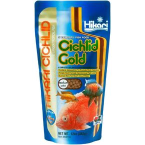 Cichlid Gold Sinking in Saudi Arabia