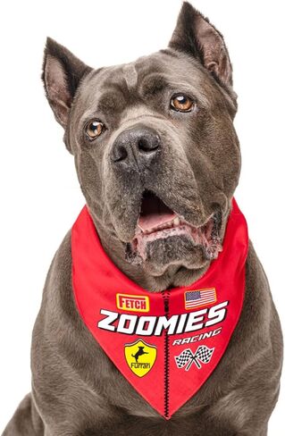 Zoomies Racecar Driver Costume Dog Bandana | 100 ٪ مثلث القطن القابل للتعديل | صنع في الولايات المتحدة | طاقم الحفرة | العلم المدقق | سريع | أحمر ، حجم واحد (1401) in Kuwait