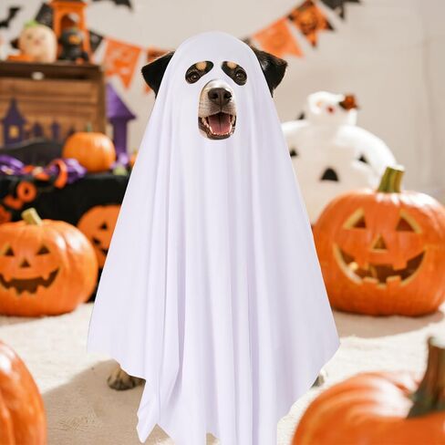 Halloween Ghost Dog Costume for Dogs Cats Pets Halloween Party, 5 Holes, 31.5 x 47.2 Inch in Saudi Arabia